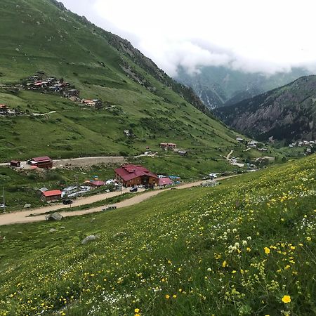 Yedigoller Hotel & Restaurant Uzungöl Eksteriør bilde