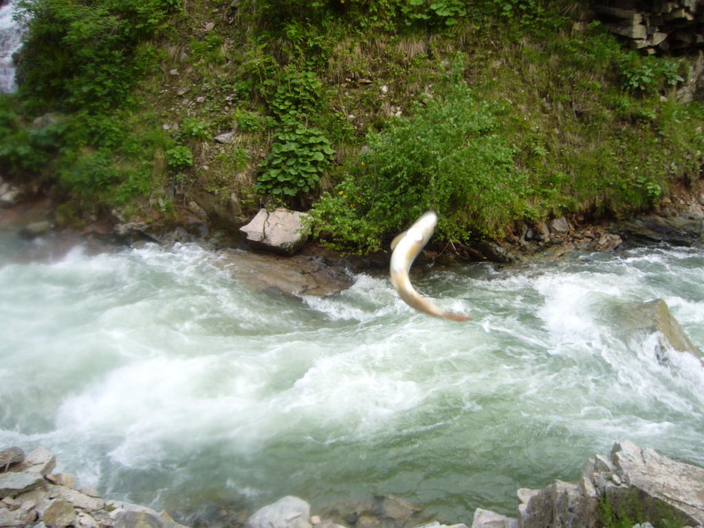 Yedigoller Hotel & Restaurant Uzungöl Eksteriør bilde